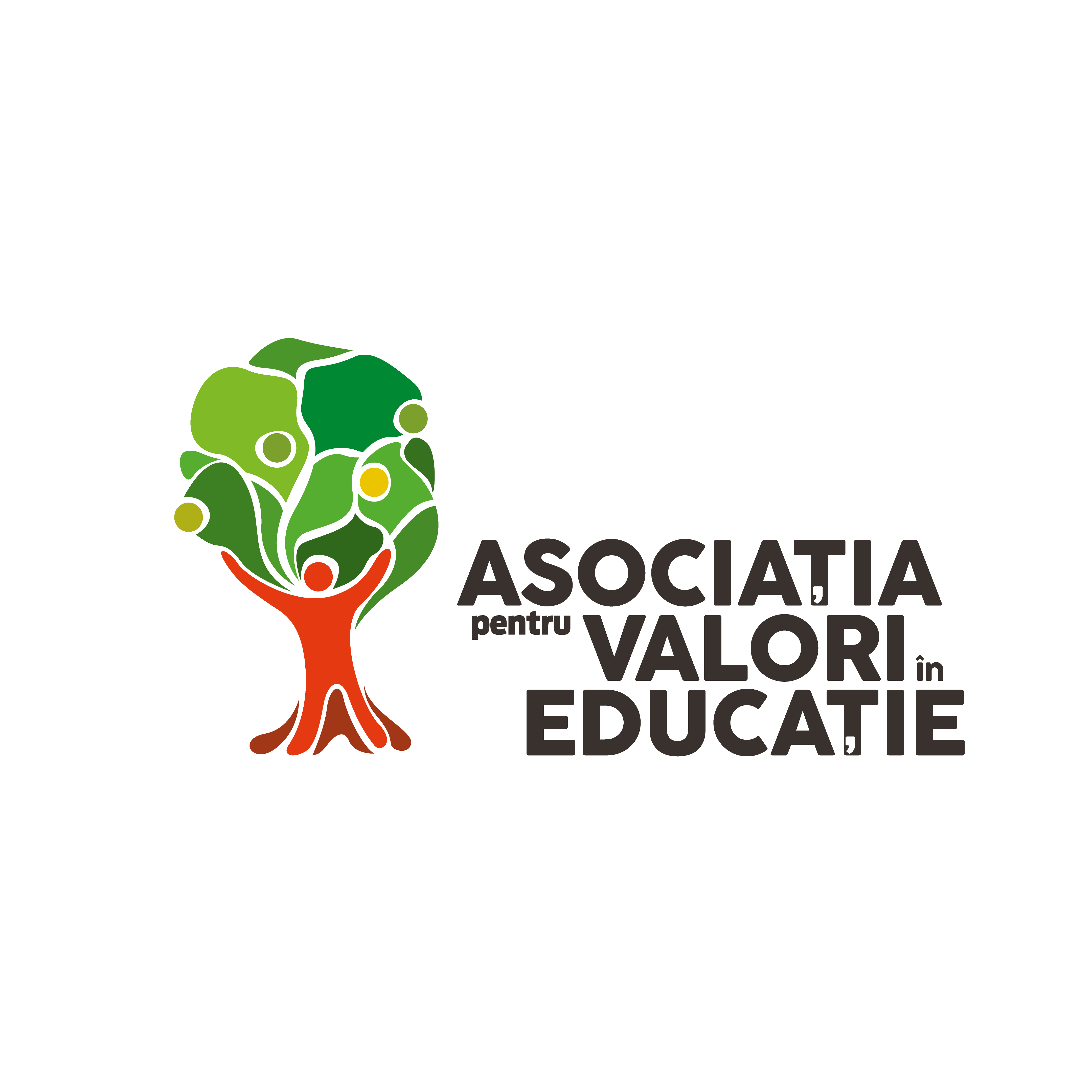 Logo Asociația pentru Valori în Educație